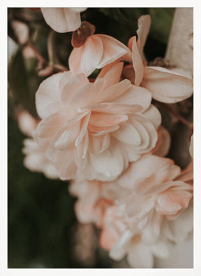 Pastel Flowers Poster