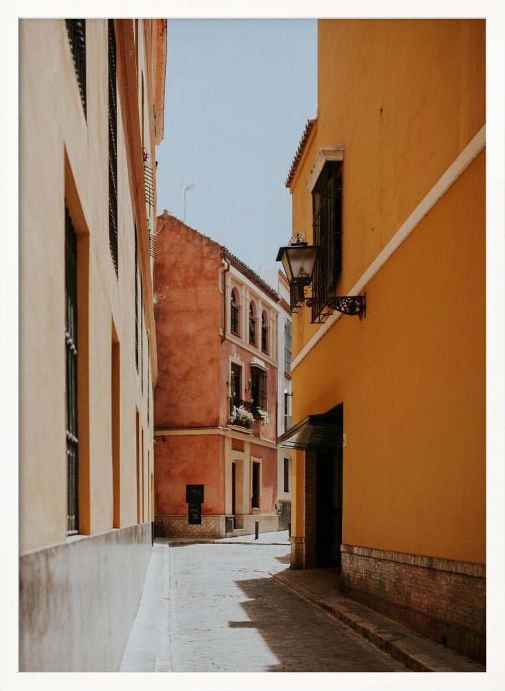 Terracotta Street Poster