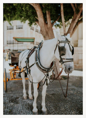 Sevilla White Horse Poster