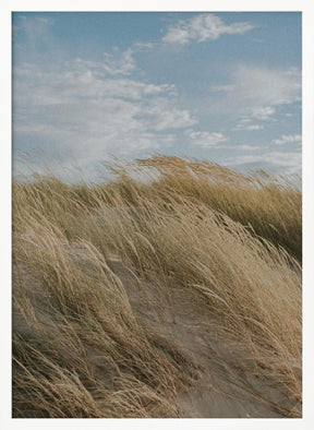 Dunes Poster