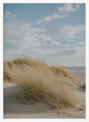 Summer Dunes Poster