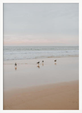 Four Seagulls Poster