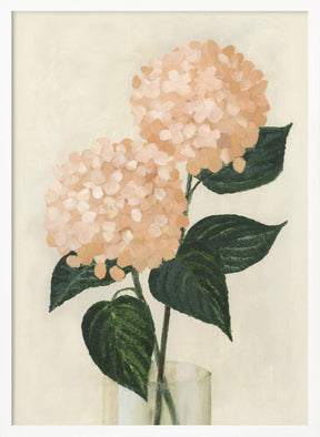 Coral hydrangeas in a vase Poster