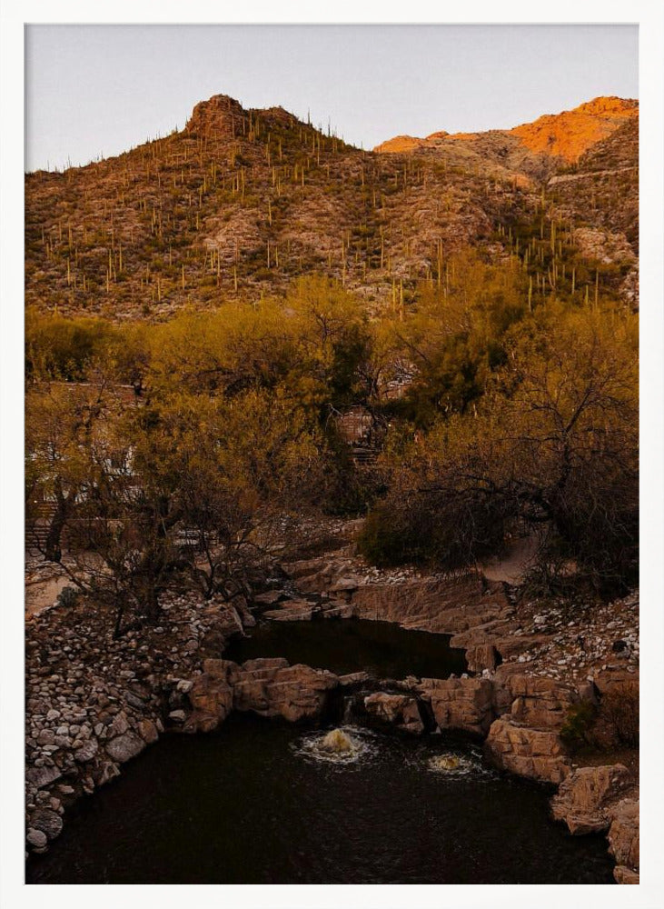 Ventana Canyon Poster