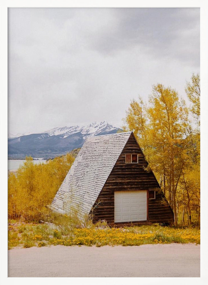 Colorado Cabin Poster