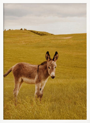 Yes, Donkey Poster