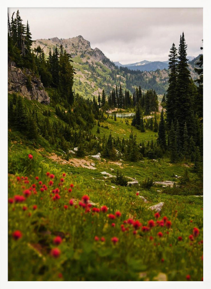 Mount Rainier Paintbrush Poster