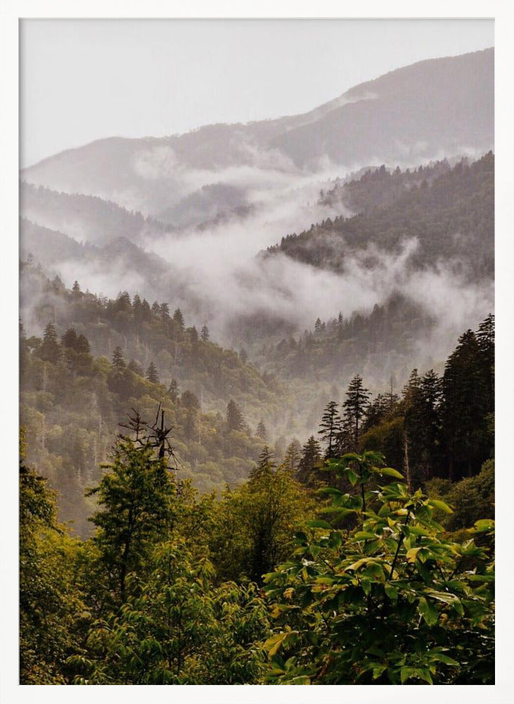 Great Smoky Mountains Poster