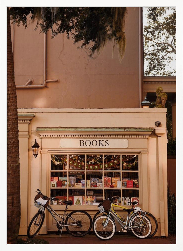 Books &amp; Bicycles Poster