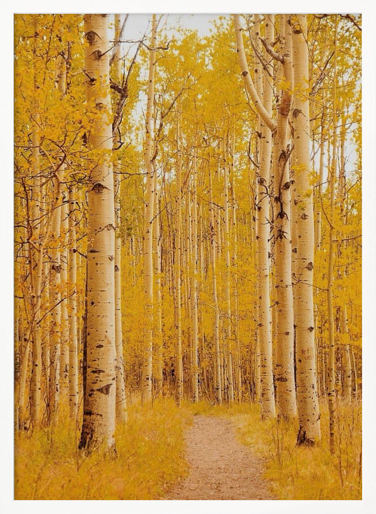 Aspen Alley Poster