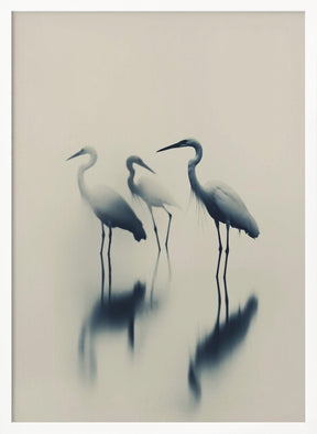 Birds In Lake Poster