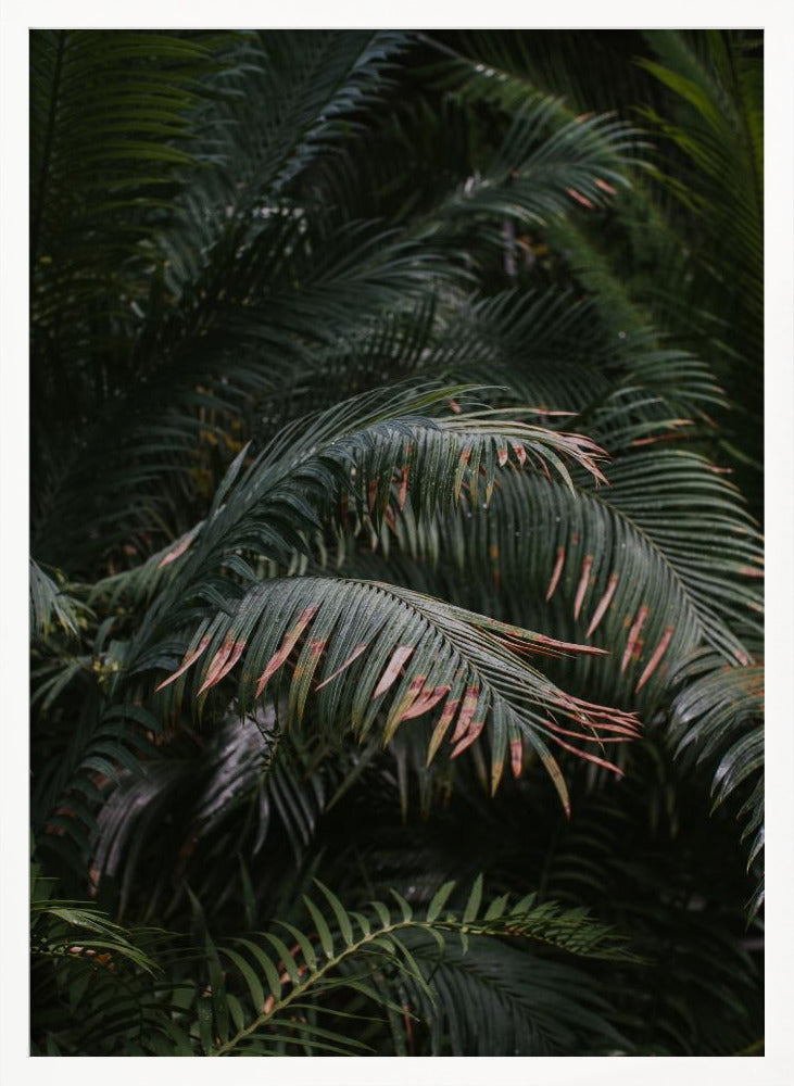 Tropical Green Poster