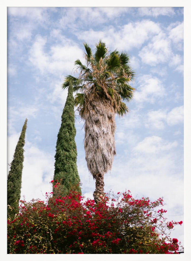 San Miguel de Allende Mexico Poster