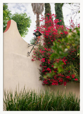 Details of San Miguel de Allende Mexico Poster