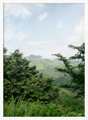 Greens of Monteverde Costa Rica Poster