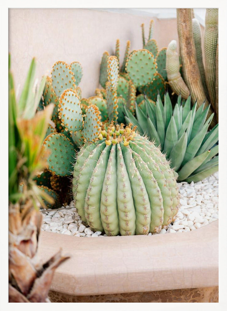 Cactus Love | Marrakech Travel Photography Poster