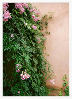 Flowers of Marrakech Poster