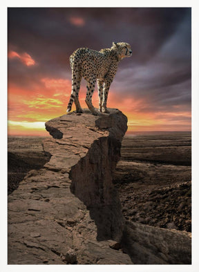 CheetahPeek Poster