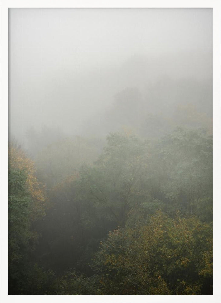 Foggy Autumn Forest Poster