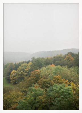 Autumn Forest Canopy | Serene Landscape Photography Poster