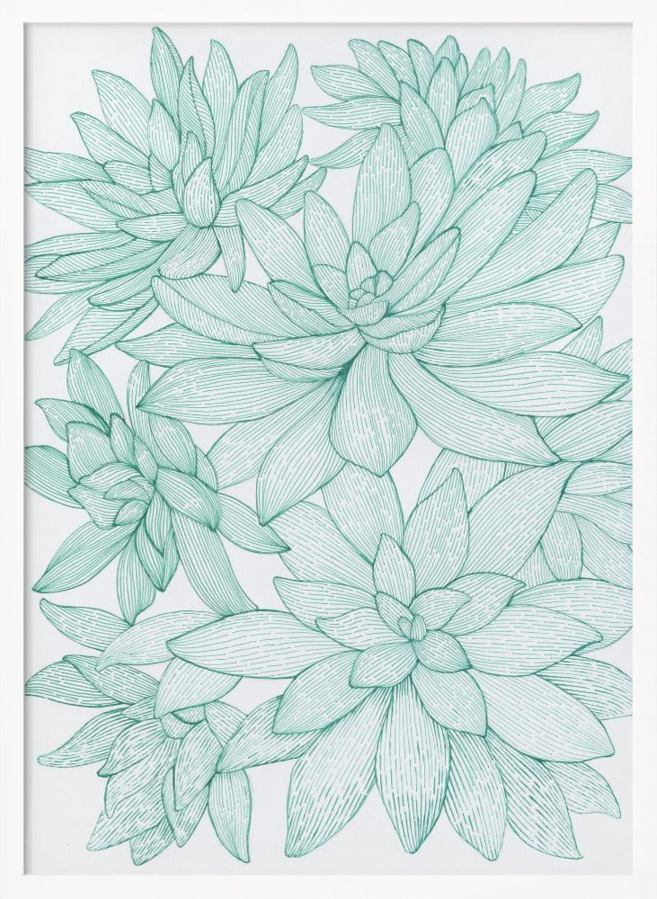 Turquoise Succulents Poster