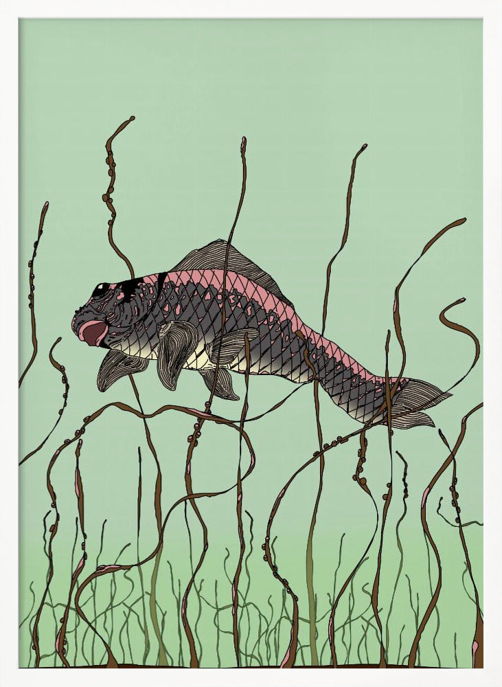 Fish Poster