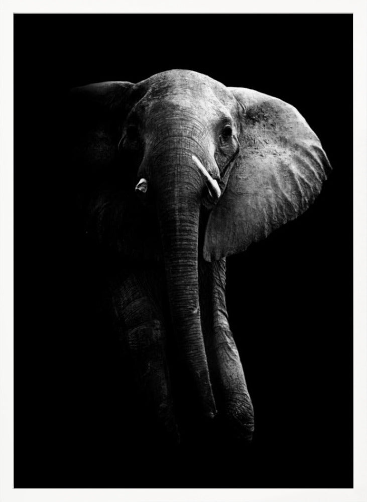 Elephant! Poster