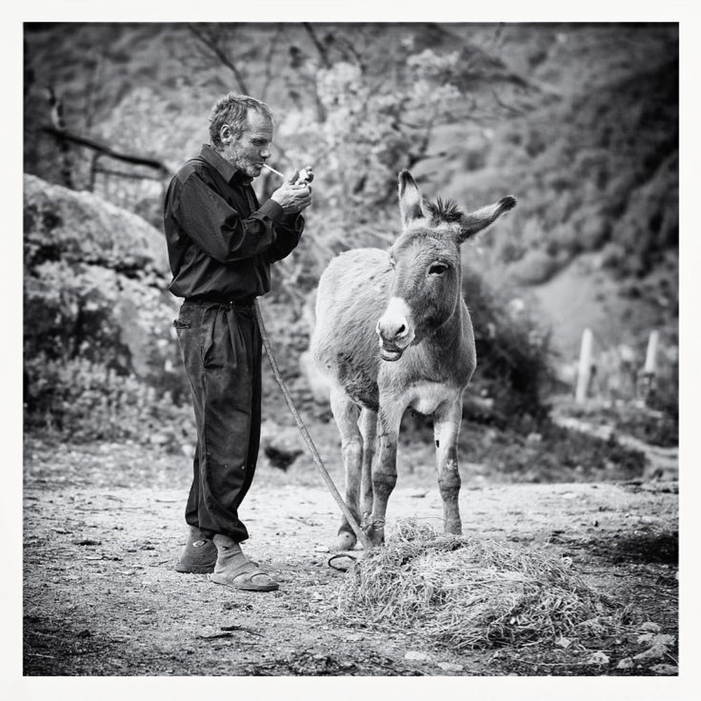 Vova and his donkey Poster