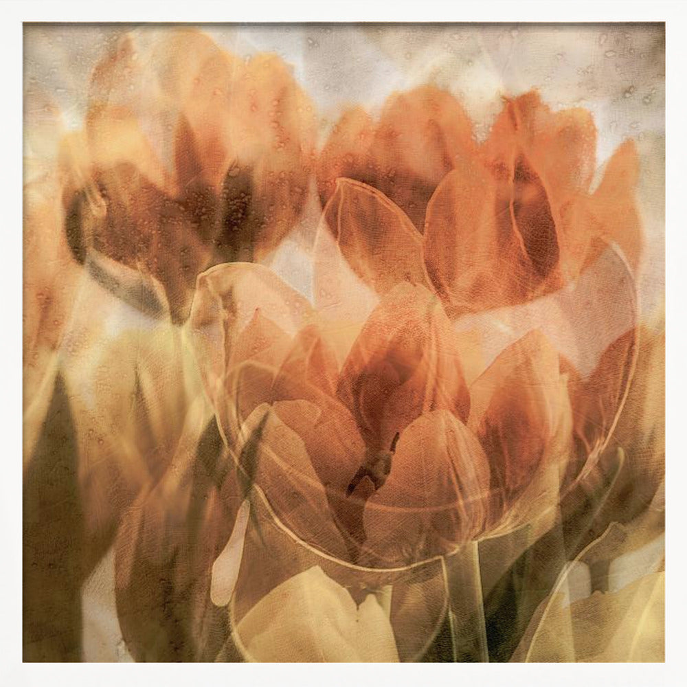 Tulips Poster