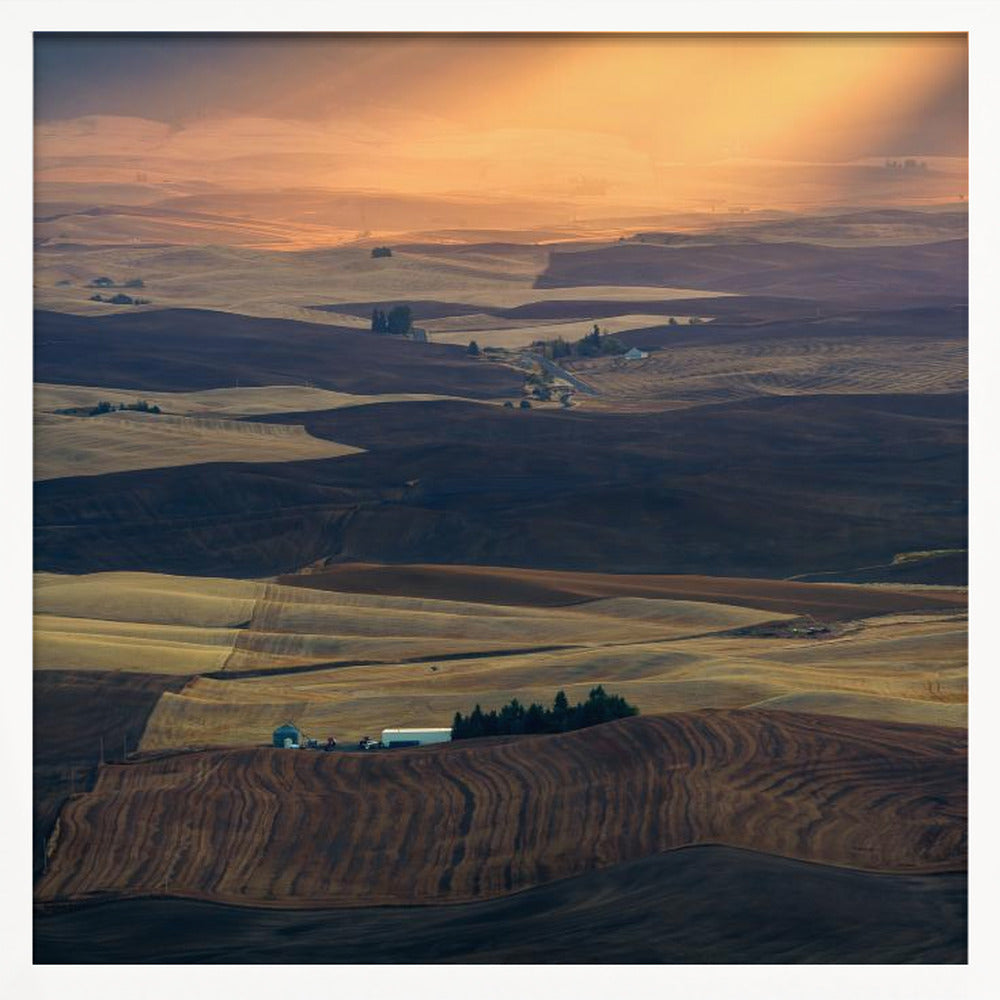 Palouse Impression Poster