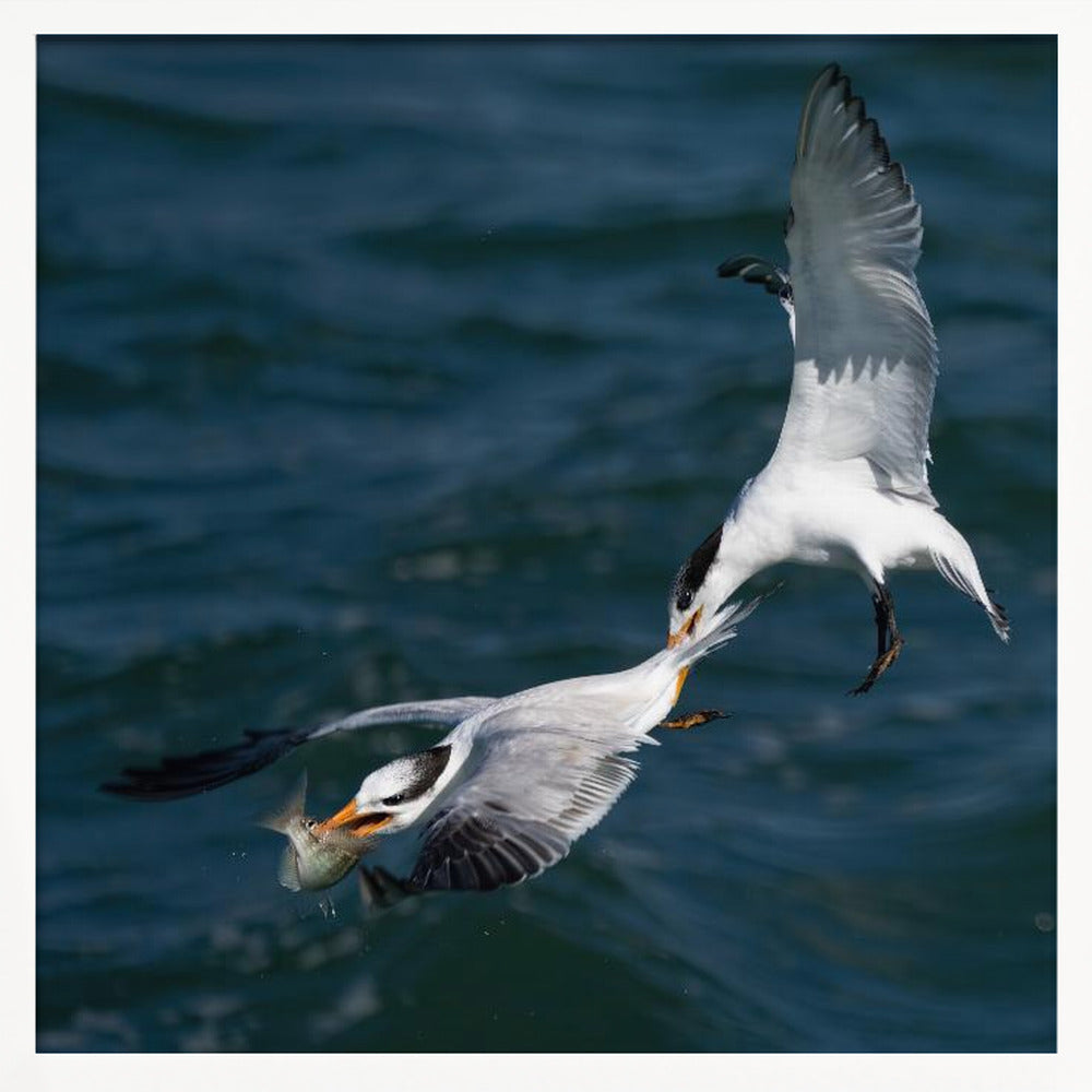 Robbery on the High Sea Poster