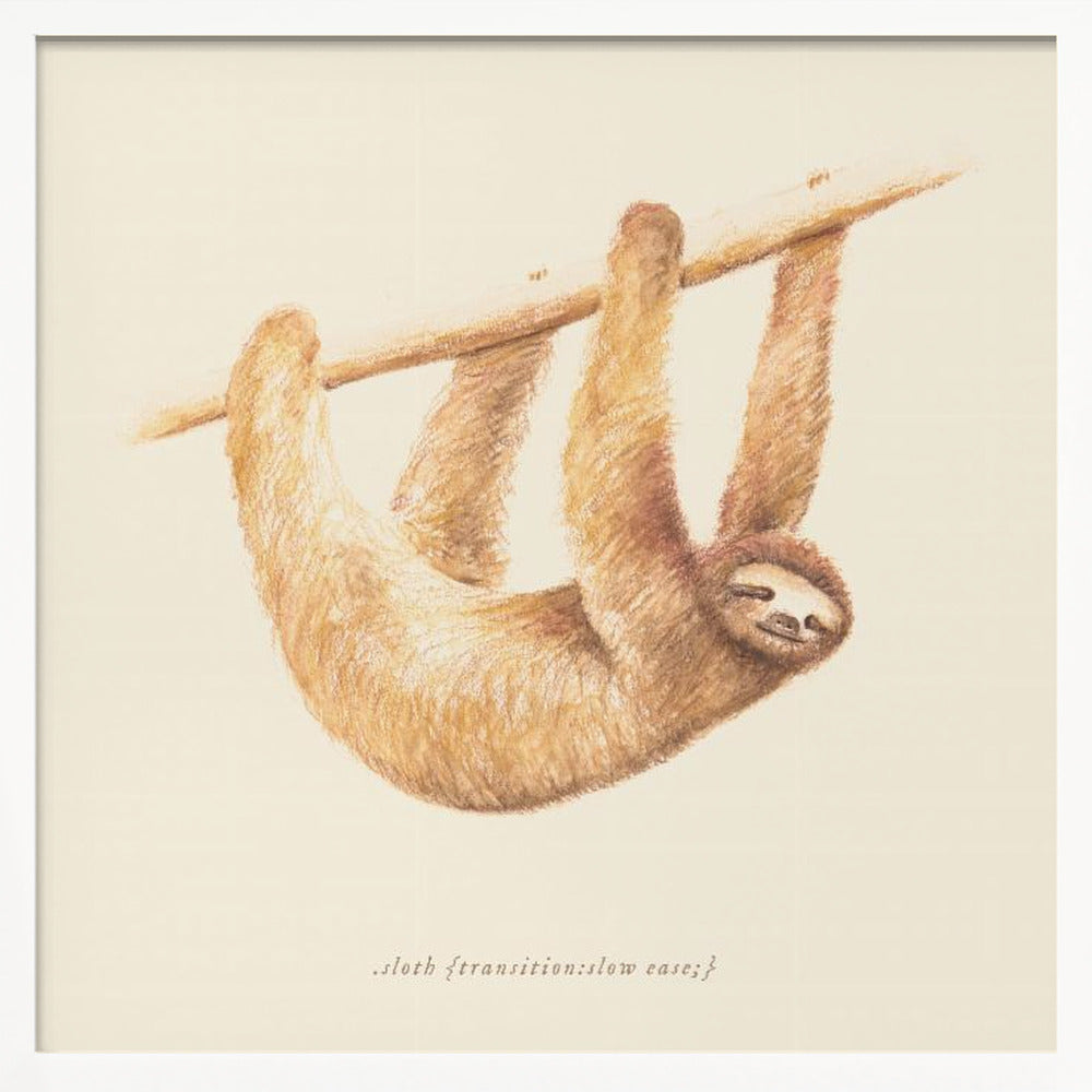 Css Animals   Sloth Poster