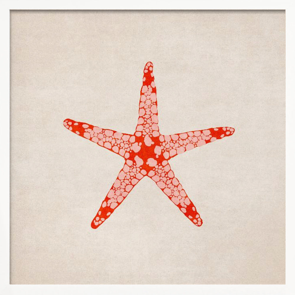 Sea Star Poster