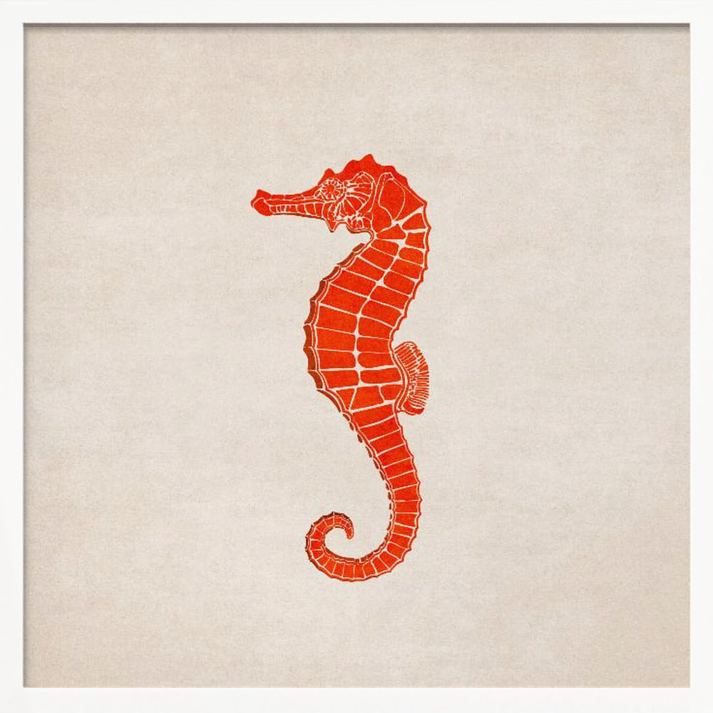 Sea Horse Poster