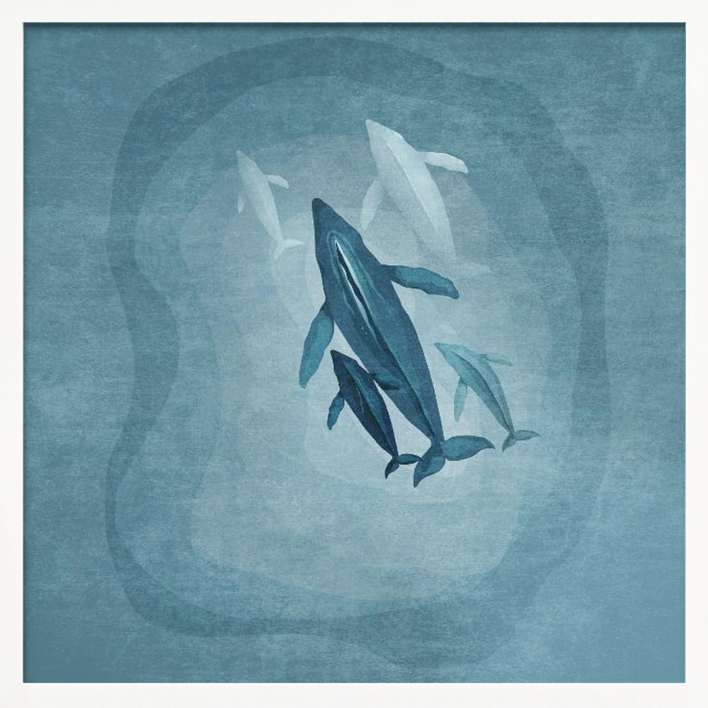 Whalesfamily Poster