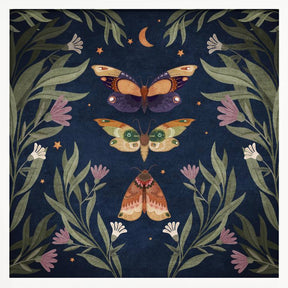 Butterfly Night Fly Poster