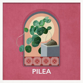 Green Sets Pilea Poster