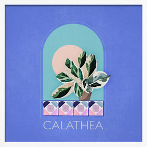 Green Sets Calathea Poster