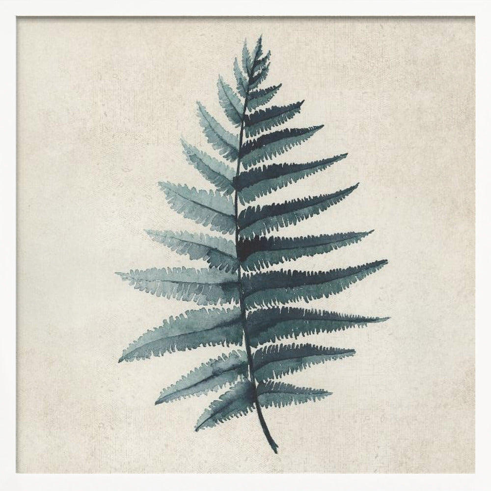 Teal watercolor fern 5 Poster