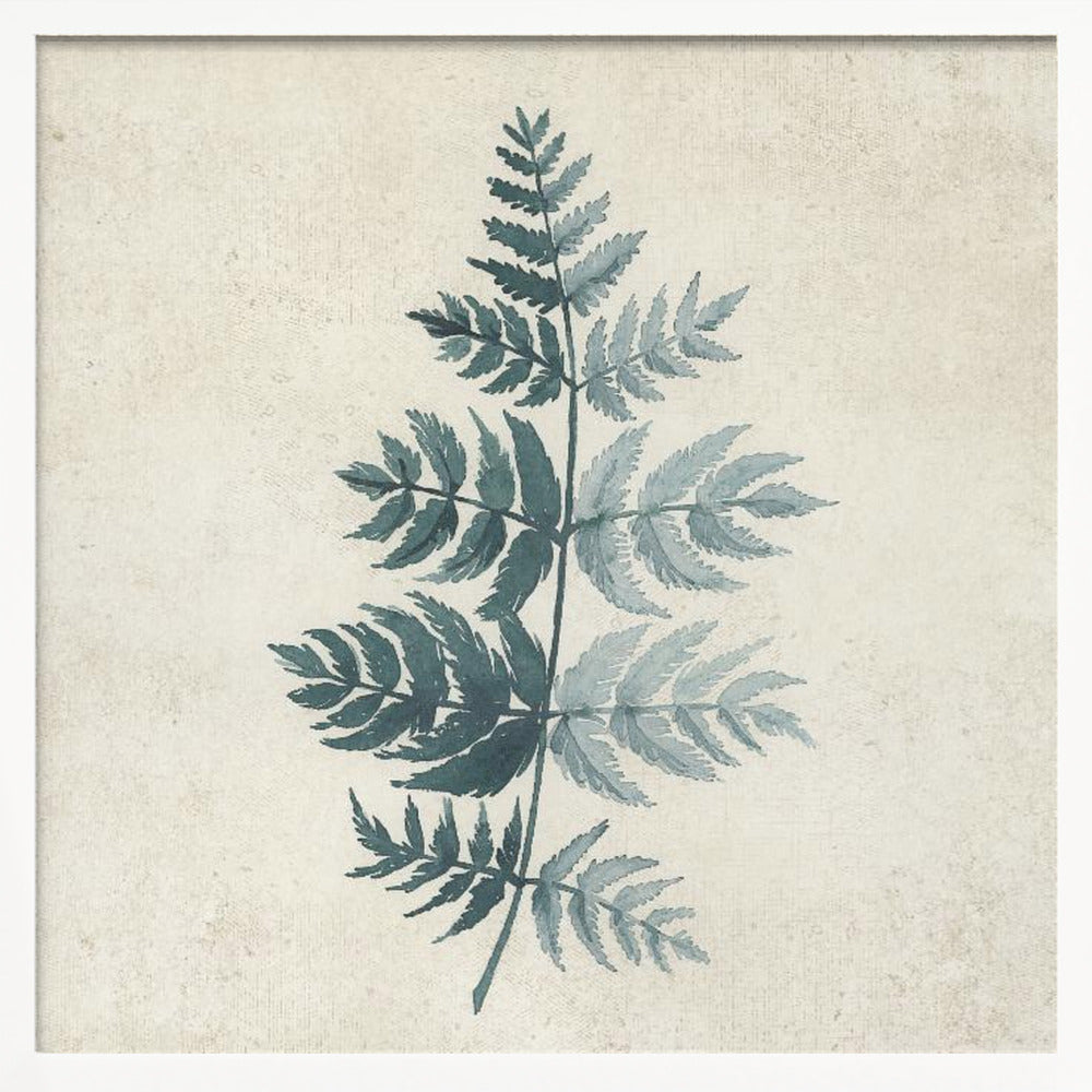 Teal watercolor fern 4 Poster