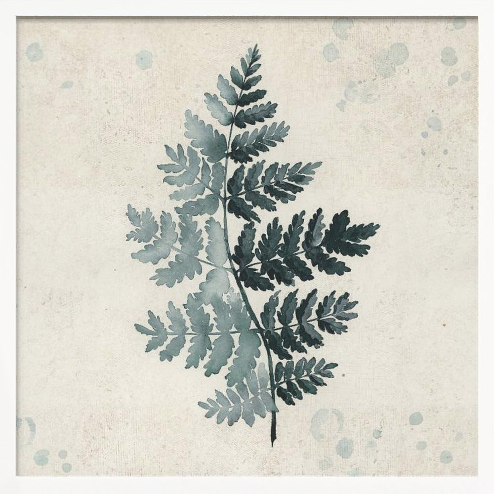 Teal watercolor fern 2 Poster