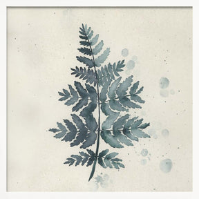 Teal watercolor fern 1 Poster