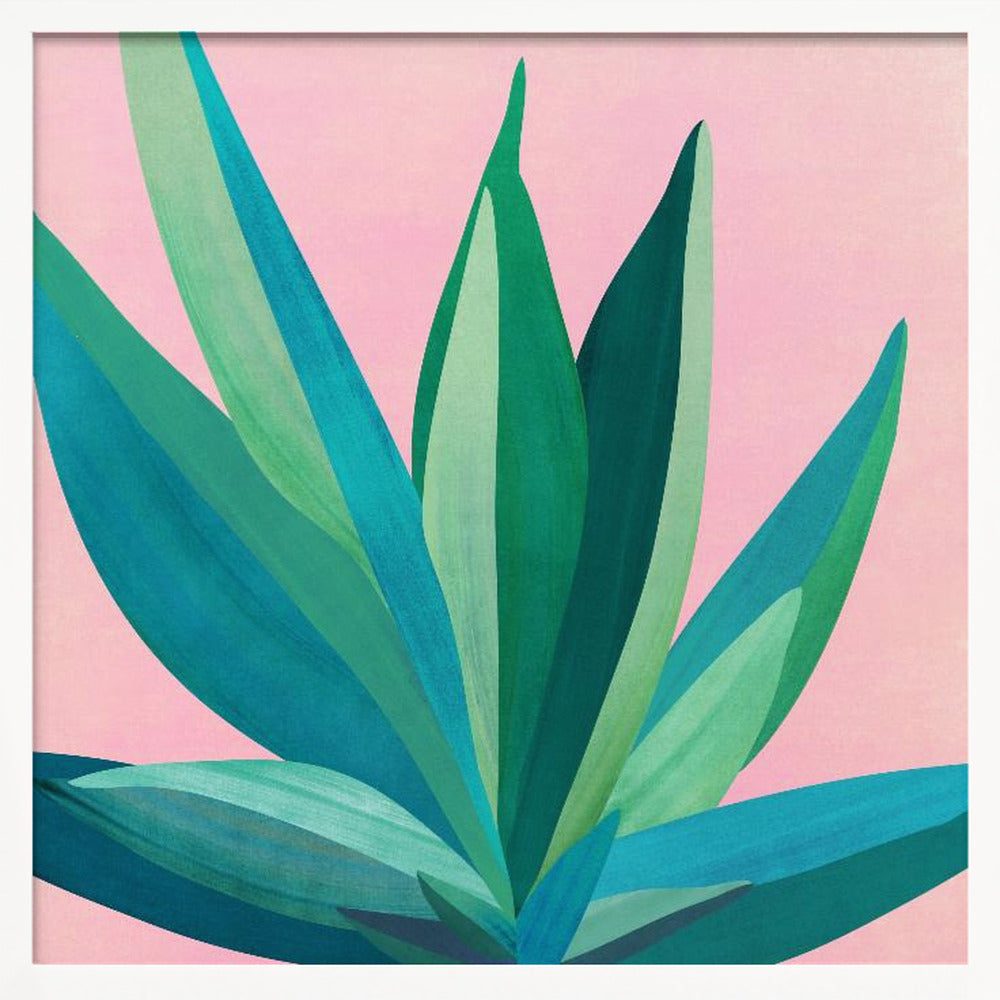 Colorful Agave 4 Poster