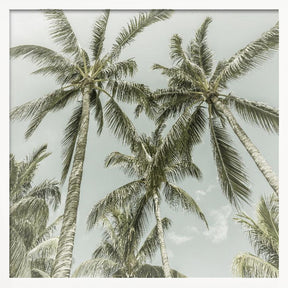 Lovely Vintage Palm Trees Poster