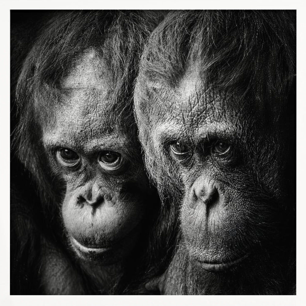 Something You Said Poster