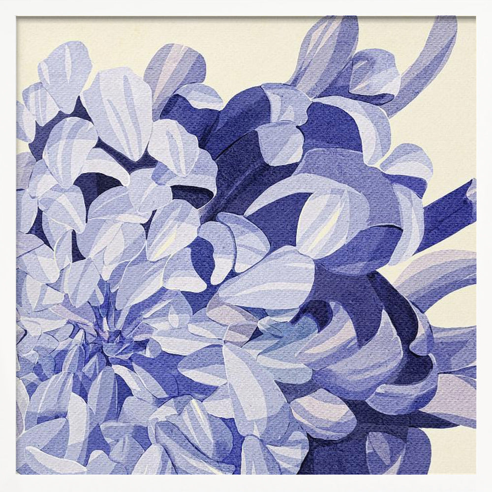 Chrysanthemum Poster