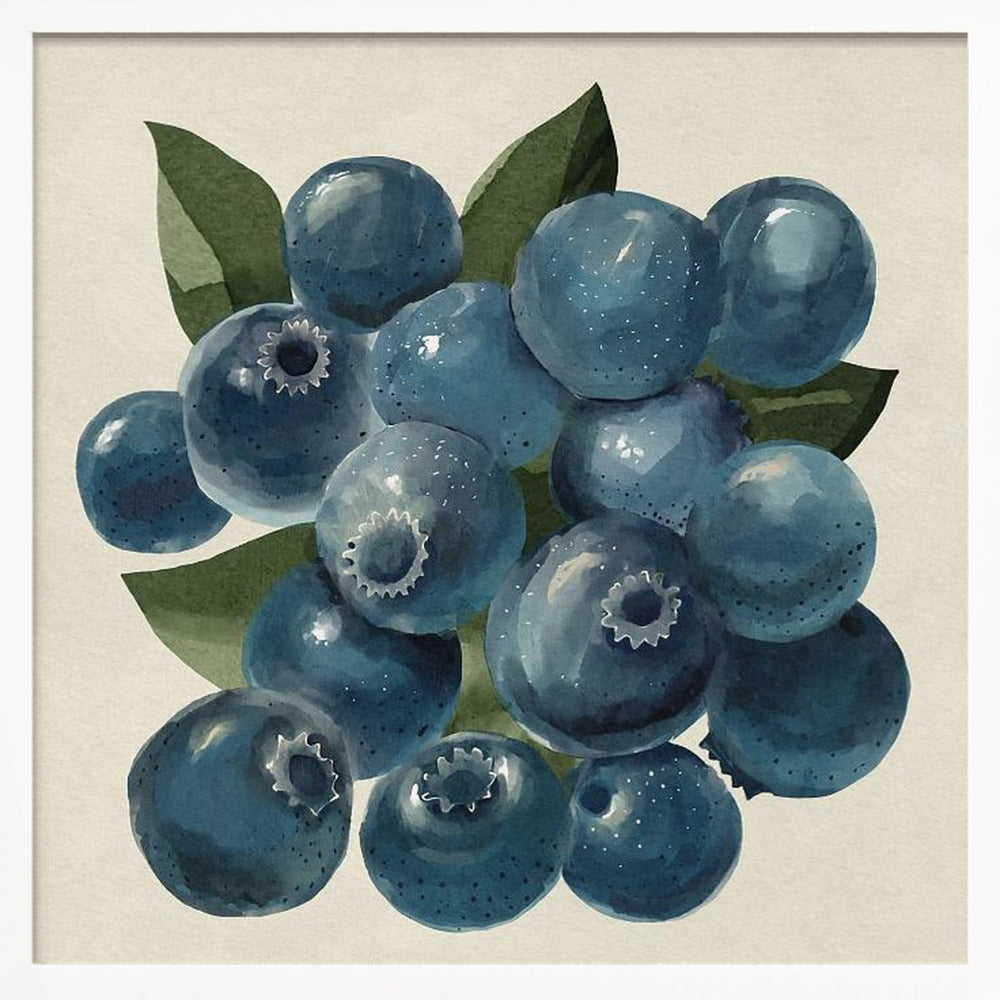 Blueberries Poster