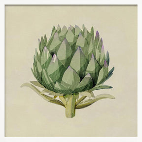 Artichoke Poster