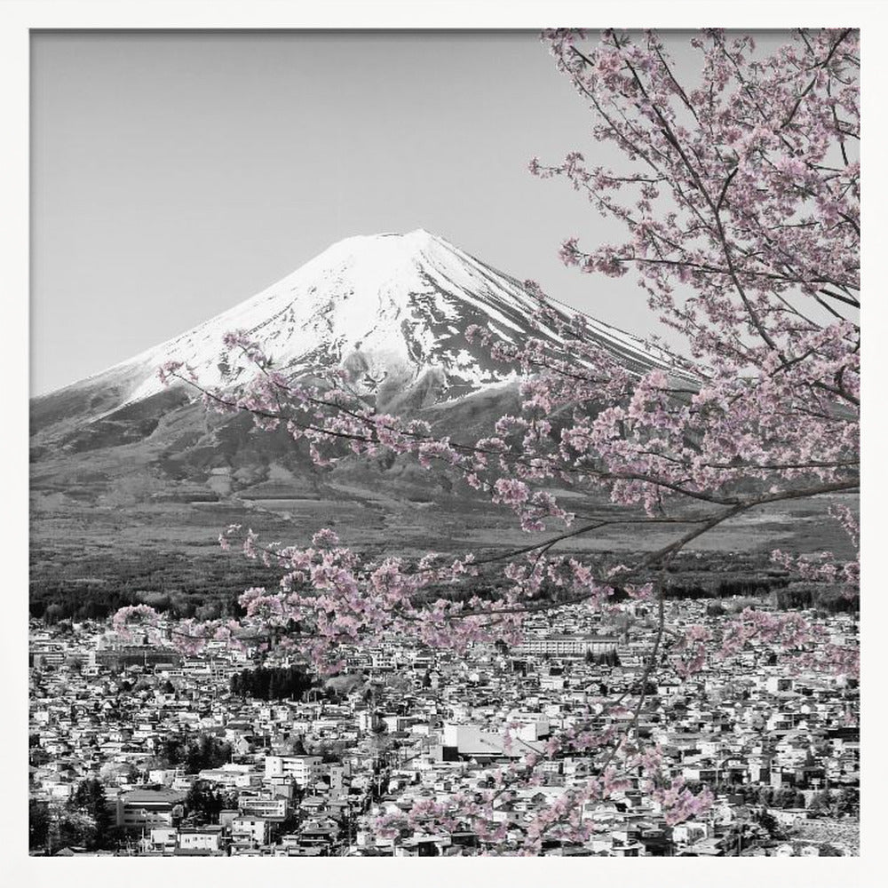 Charming view of Mount Fuji during cherry blossom season - colorkey Poster