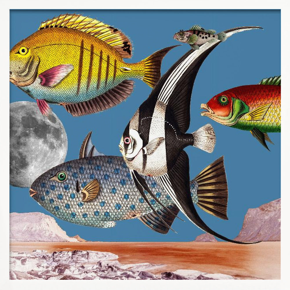 Fish World Blue - Digital Collage Poster